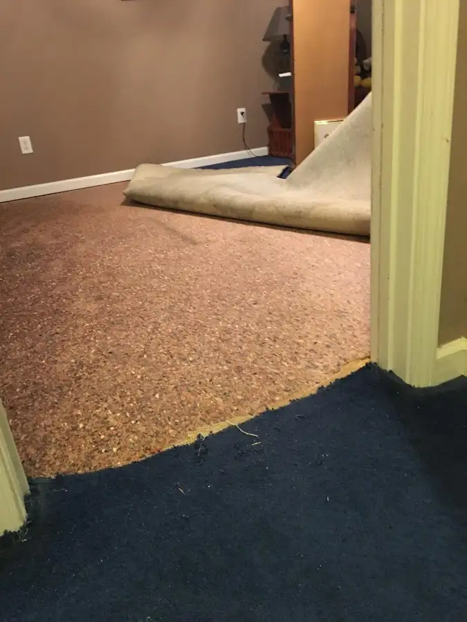 Carpet pad removal revealing water damage during Drying & Dehumidification in Weslaco
