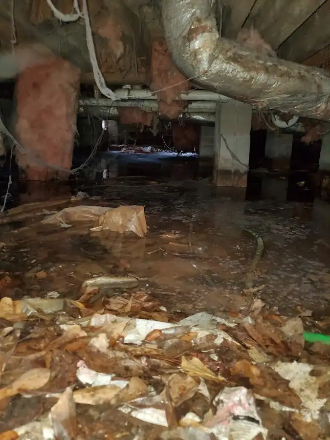 Crawl space flood assessment for Commercial Water Damage Restoration in Weslaco