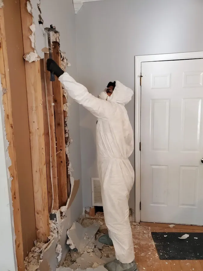 Water Damage Restoration services in Weslaco, TX